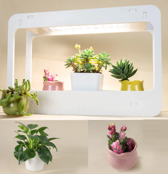 Minigarden Eragon led growing light planter vegetable plant led lamp indoor smart home garden